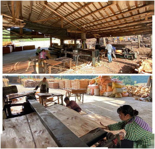 木業加工廠復工助力拓寬就業渠道