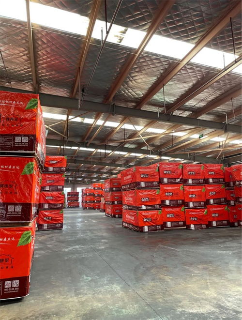 鼎立達(dá)榮獲金匠榜健康板材十大品牌 實力加冕，引領(lǐng)木業(yè)高質(zhì)量發(fā)展